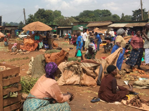 Environment and Regional Development (EIB)